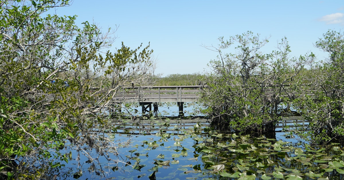 Cloud storage servers and data center