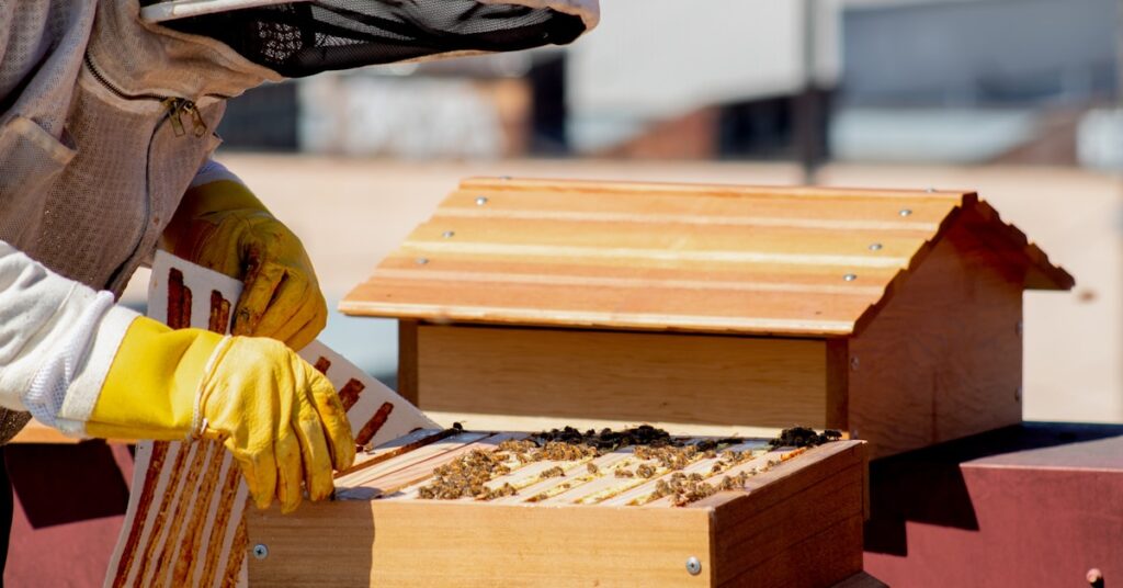 5+ Best API Management tools to Secure, Track, and Speed Up Your APIs