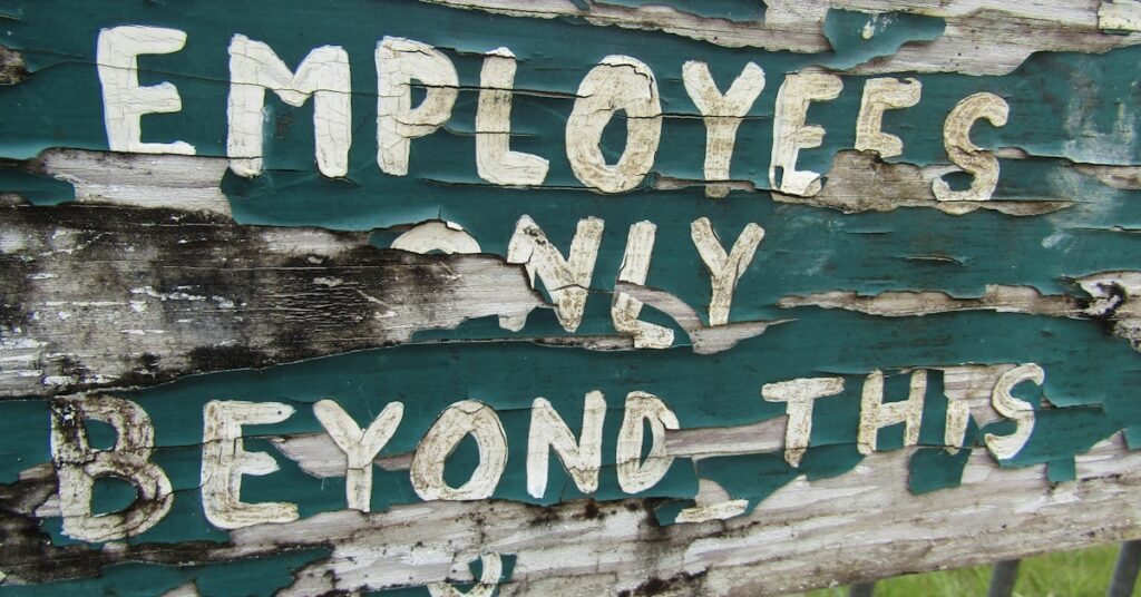 5+ Best Employee Survey Tools to Boost Your Engagement and Culture in 2025