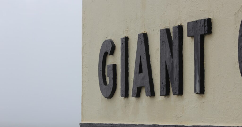5+ Best Grant Management Software to Simplify Your Process and Boost Impact
