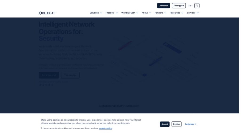 BlueCat Networks Homepage