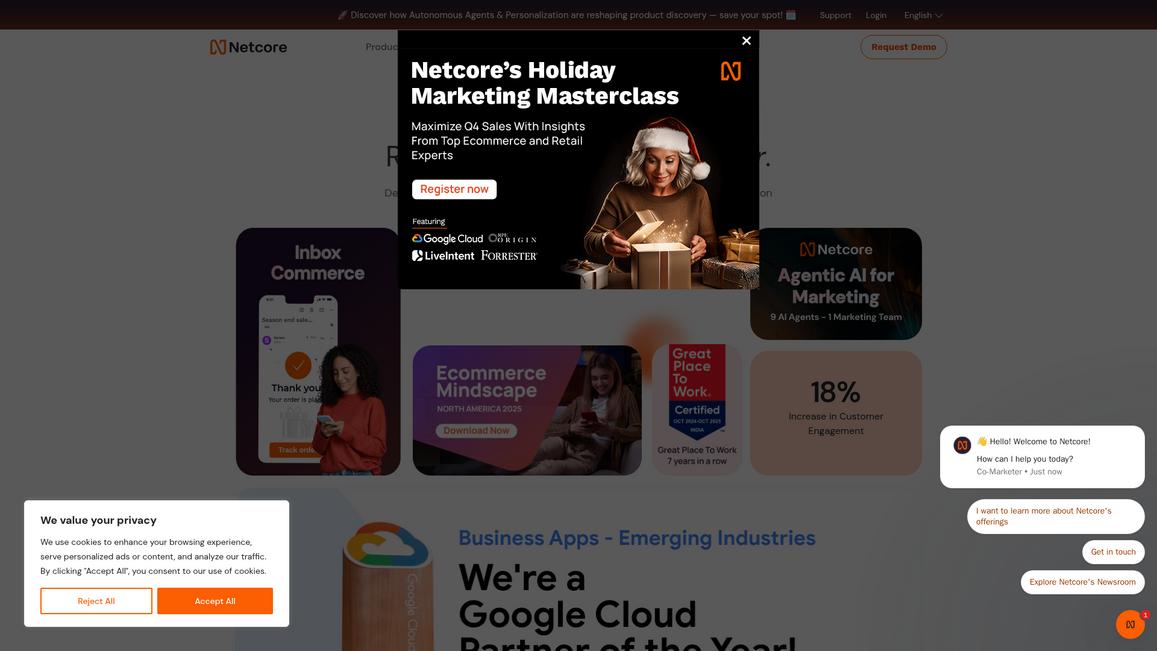 Netcore Homepage