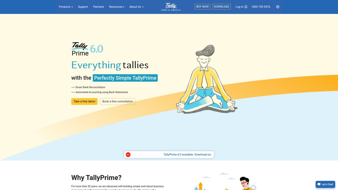 Tally Solutions Homepage
