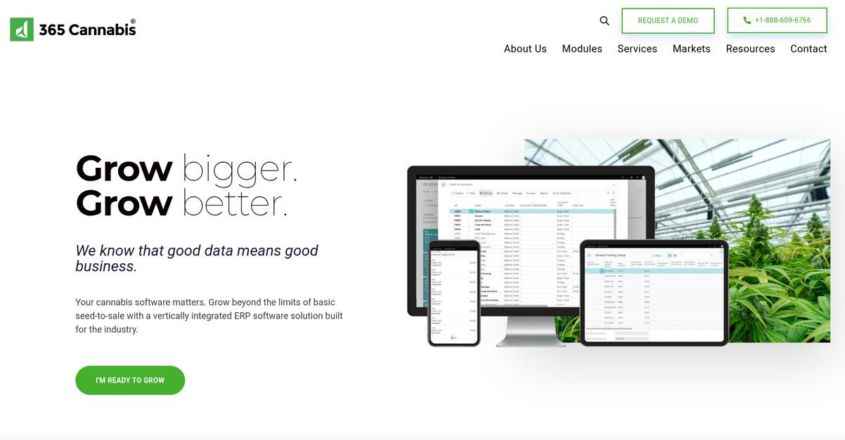 365 Cannabis Homepage