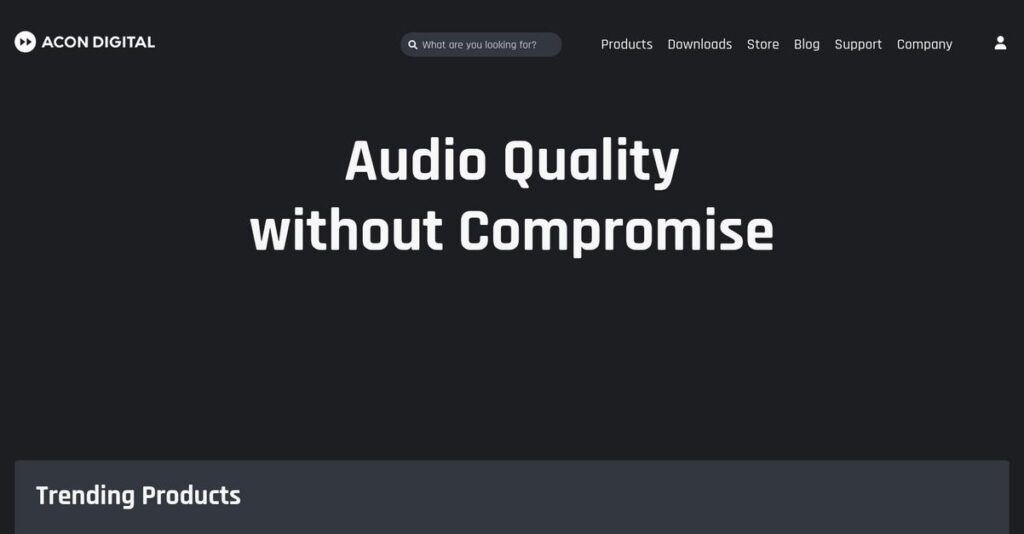 Acon Digital Homepage