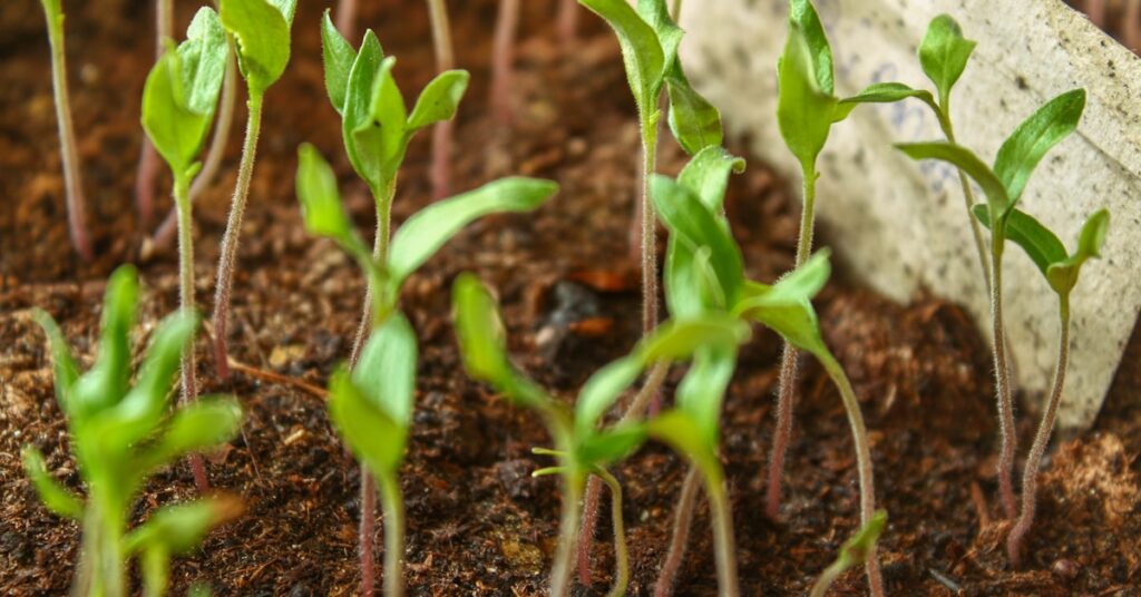 Best Lead Nurturing Software: Cut Drop-Off & Shorten Your Sales Cycle