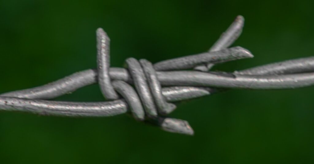 Best Link Management Tools to Streamline Your SEO Analytics in 2025