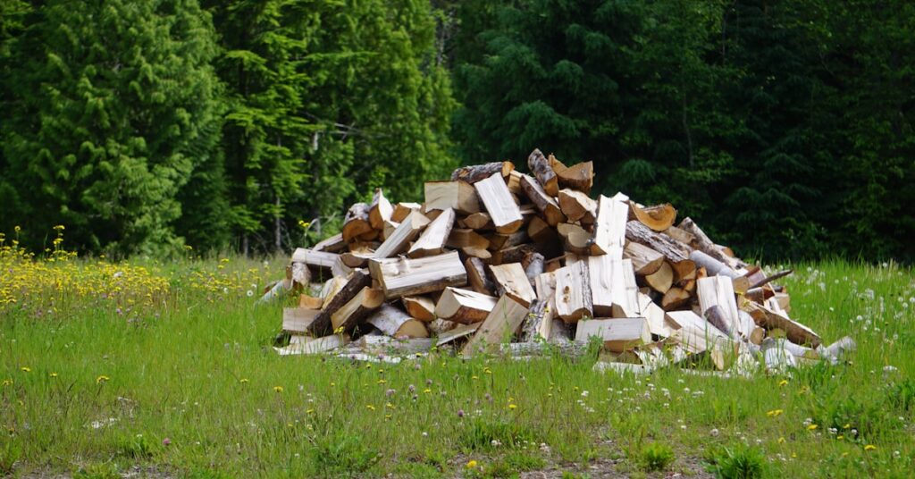 Best Log Management Software to Shrink Downtime & Boost Operations