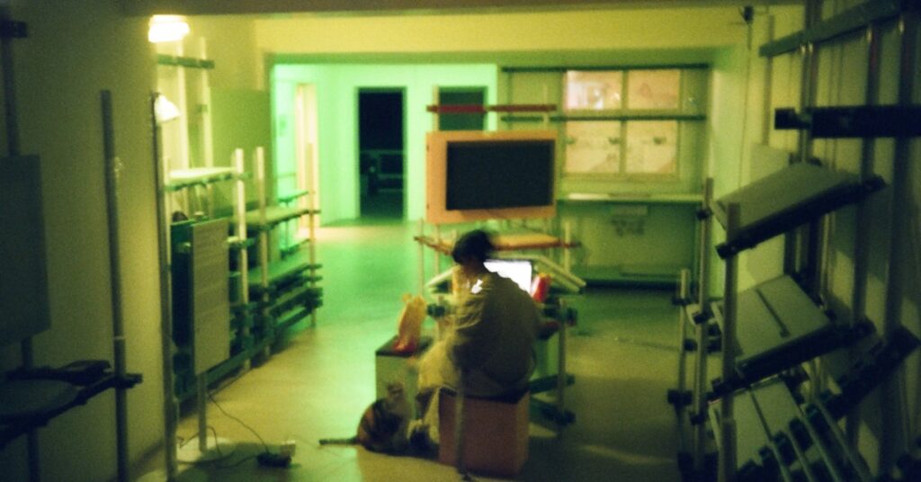 Best Patient Portal Software to Gain Clarity & Elevate Patient Care