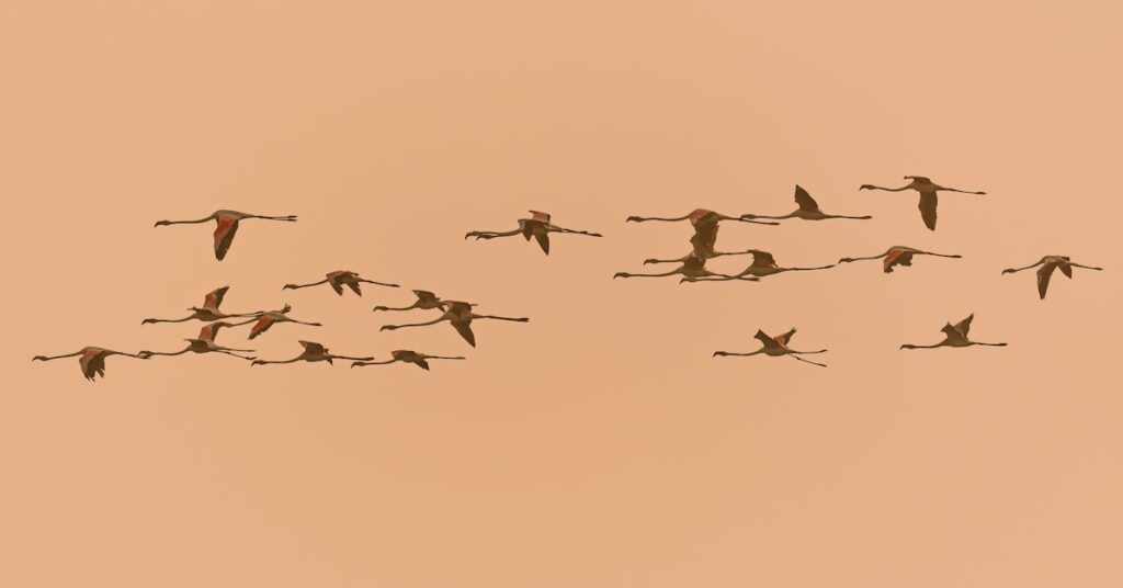 Best Sage Partner to Minimize Downtime and Ensure Smooth Migration