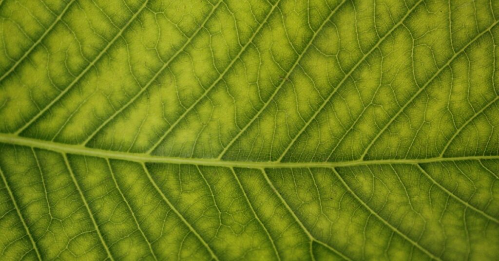 Best Sustainability Software to Verify Your ESG Data in 2025