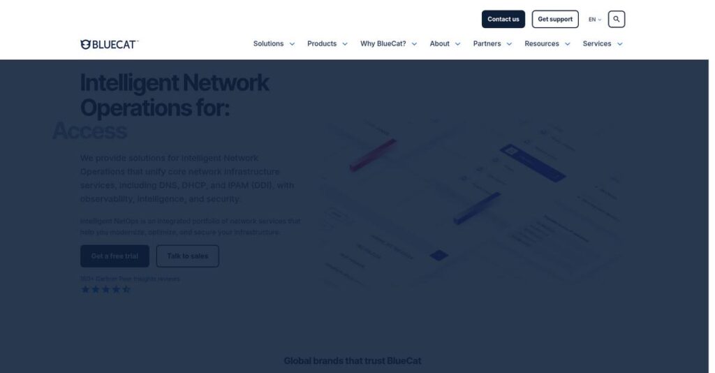 BlueCat Networks Homepage