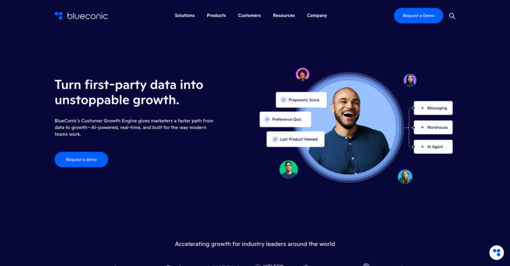 BlueConic Homepage
