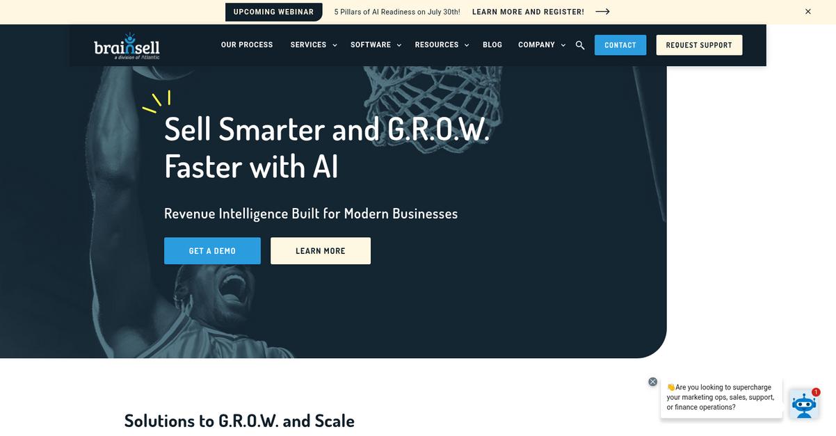 Brain Sell Homepage