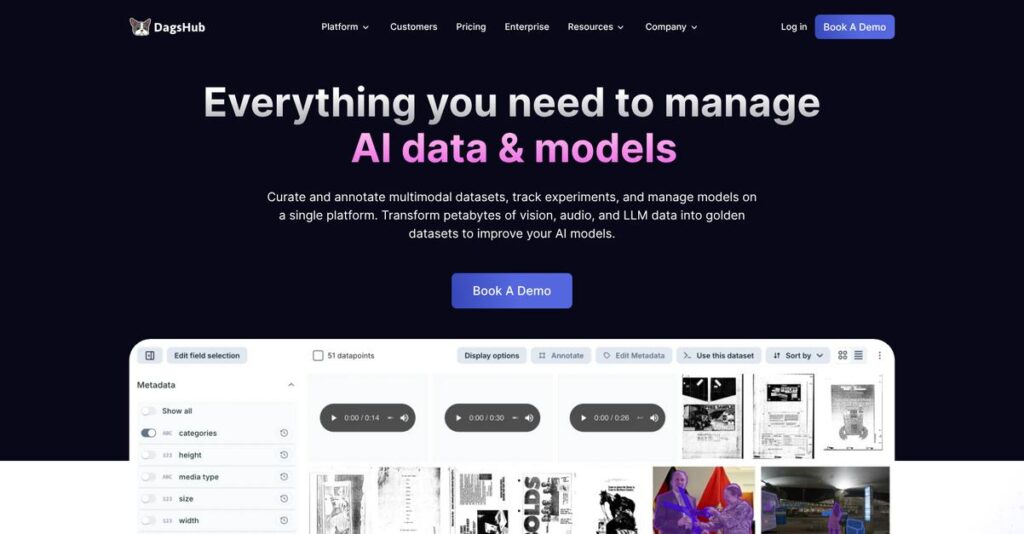 DagsHub Homepage