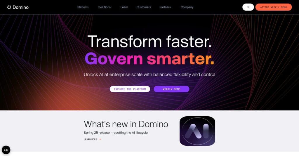 Domino Data Lab Homepage