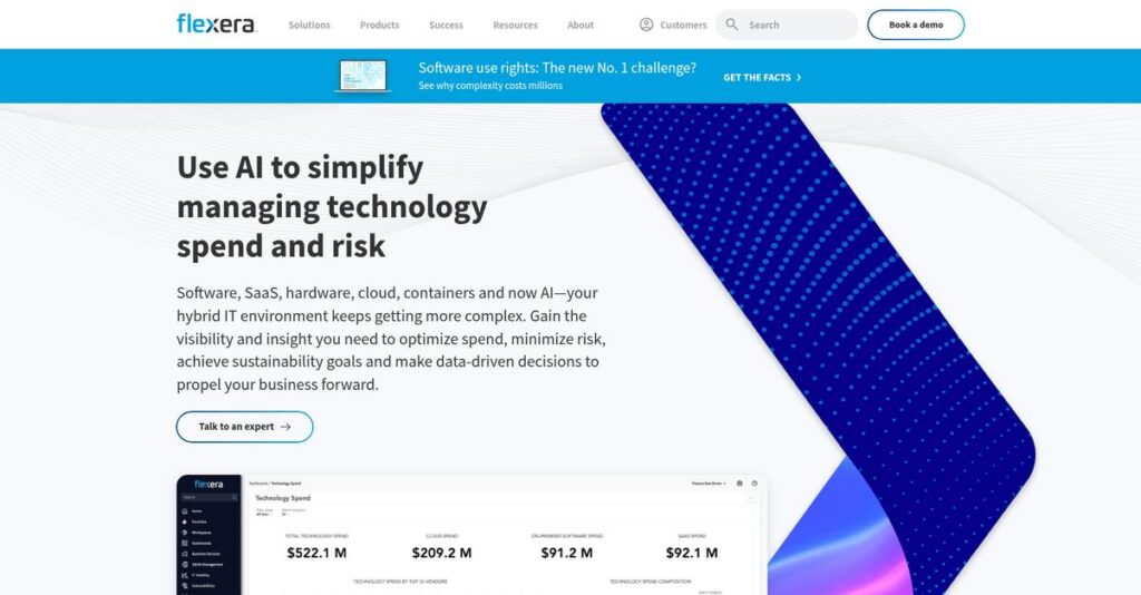 Flexera Homepage 1