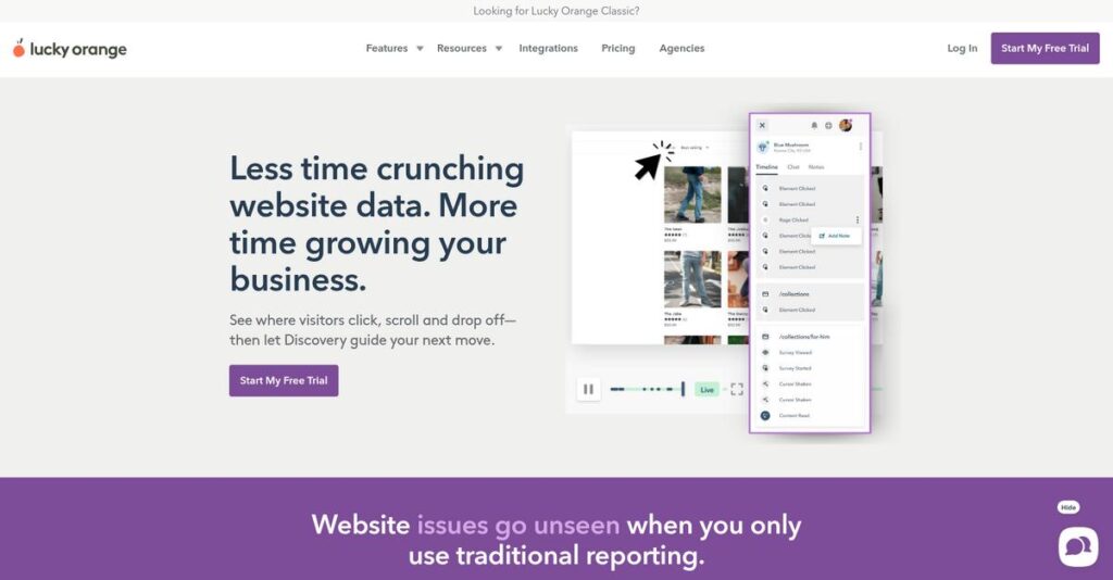 Lucky Orange Homepage