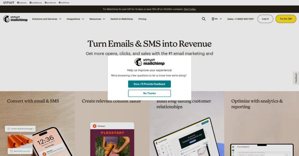 Mailchimp Homepage