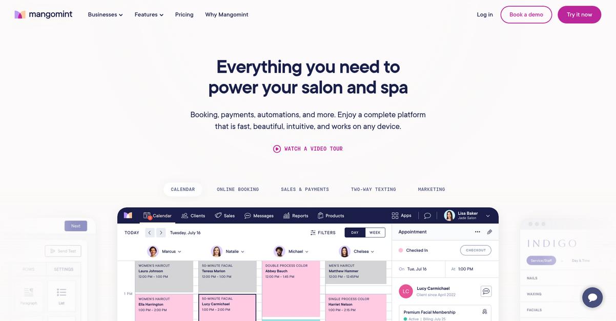 Mangomint Homepage