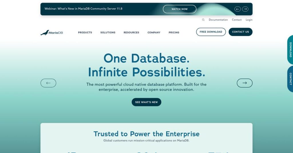 MariaDB Homepage 1