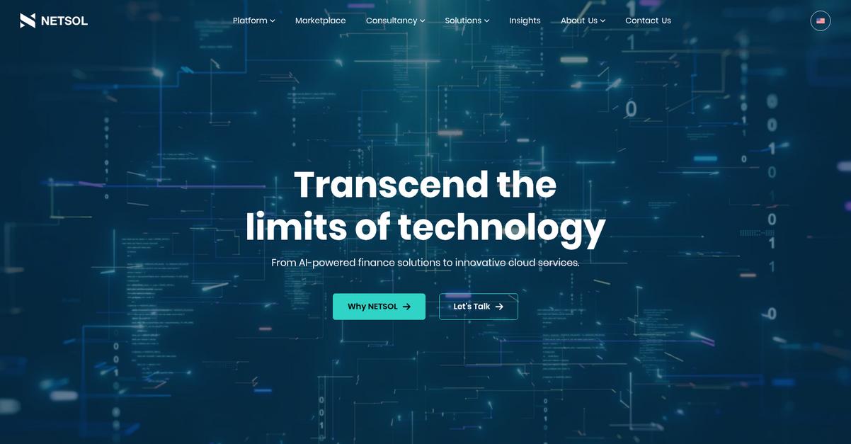 Net Sol Technologies Homepage