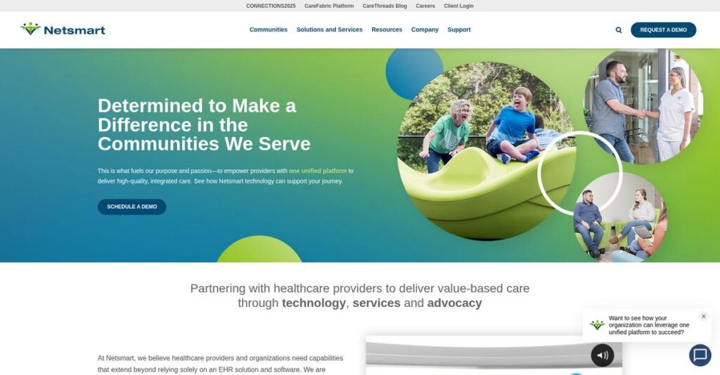 Netsmart Homepage