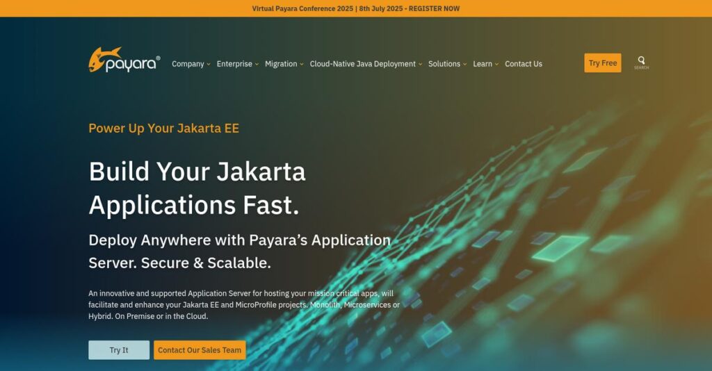 Payara Homepage