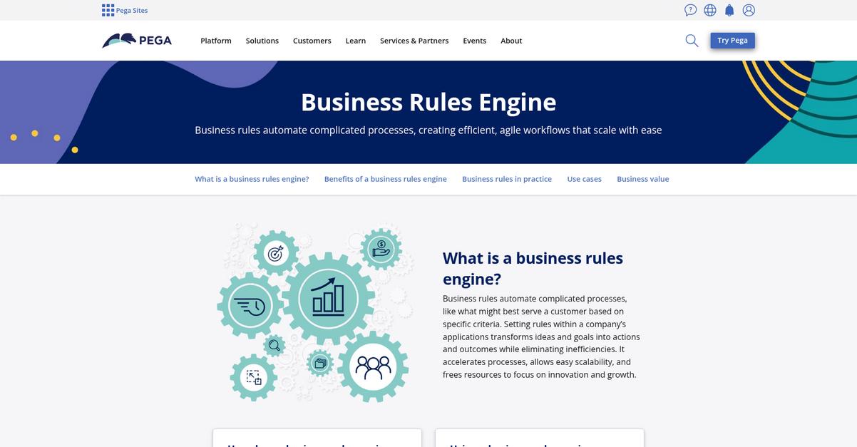 Pega Homepage 1