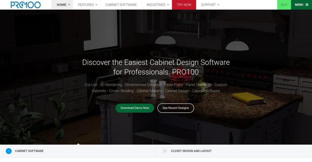 Pro100 Homepage