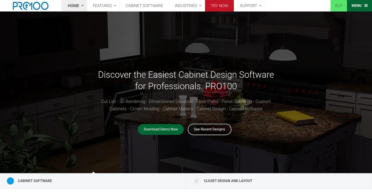 Pro100 Homepage