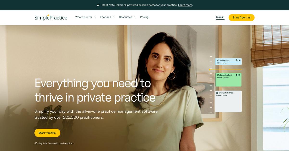 Simple Practice Homepage