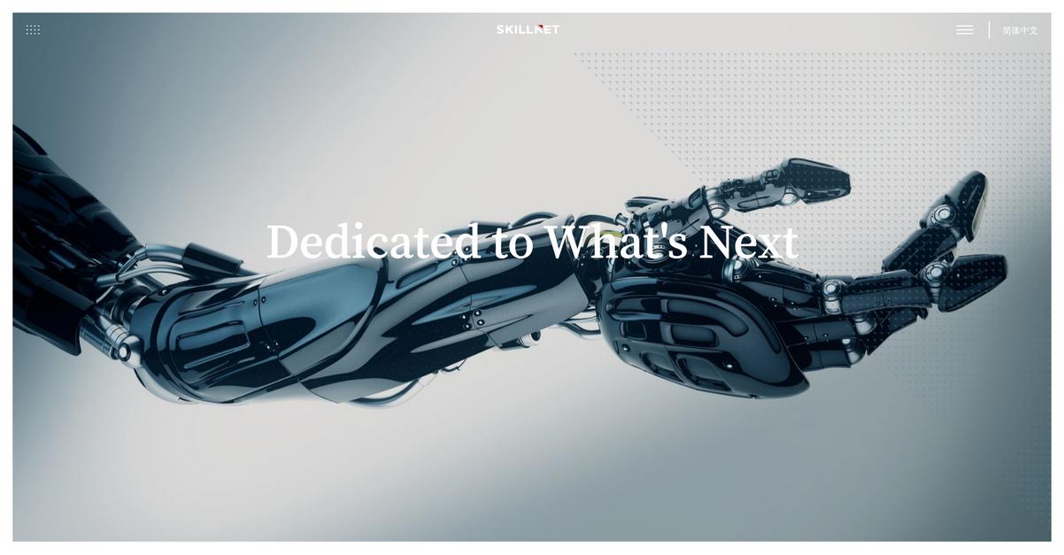 Skillnet Homepage