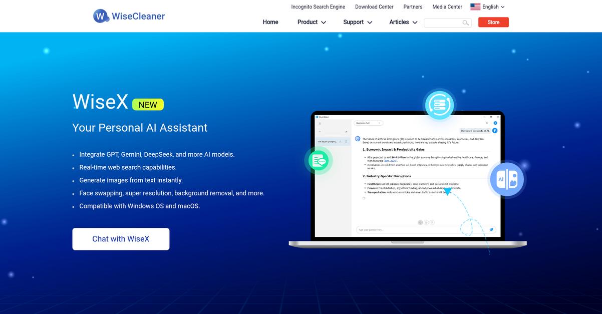 Wise Cleaner Homepage