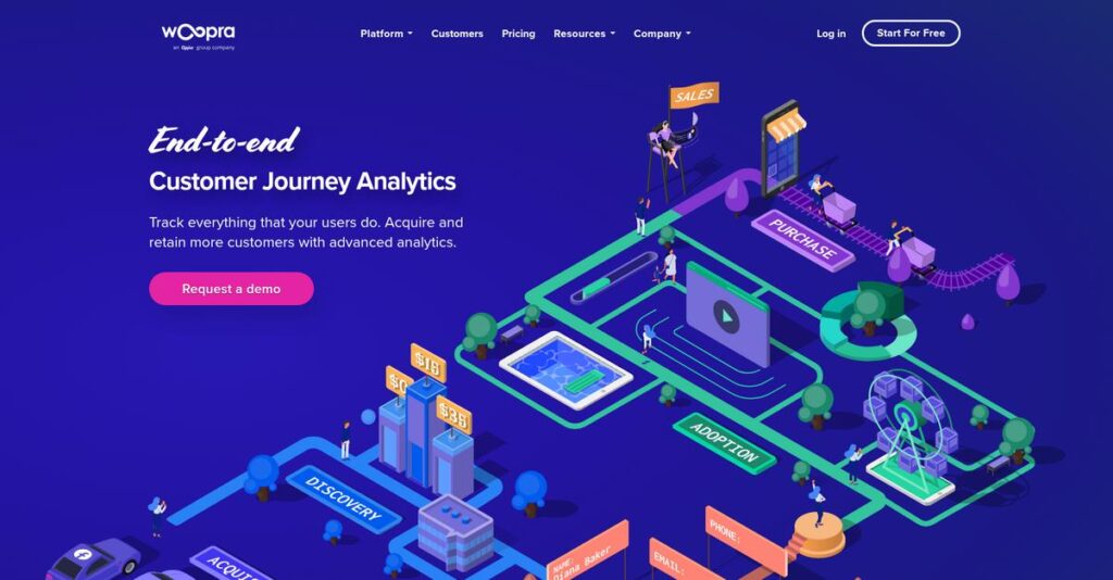 Woopra Homepage