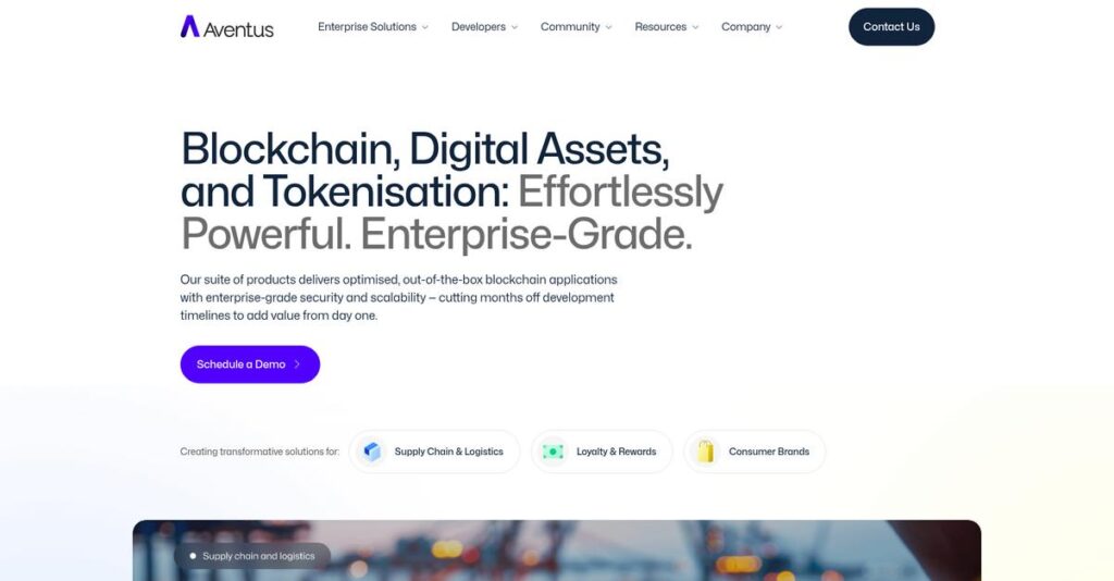 Aventus Homepage