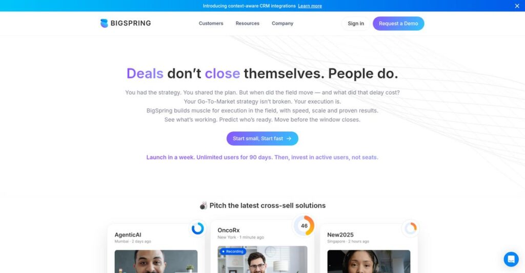 BigSpring Homepage