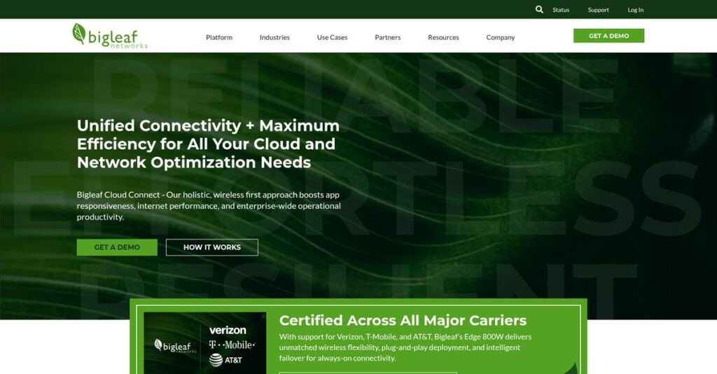 Bigleaf Networks Homepage