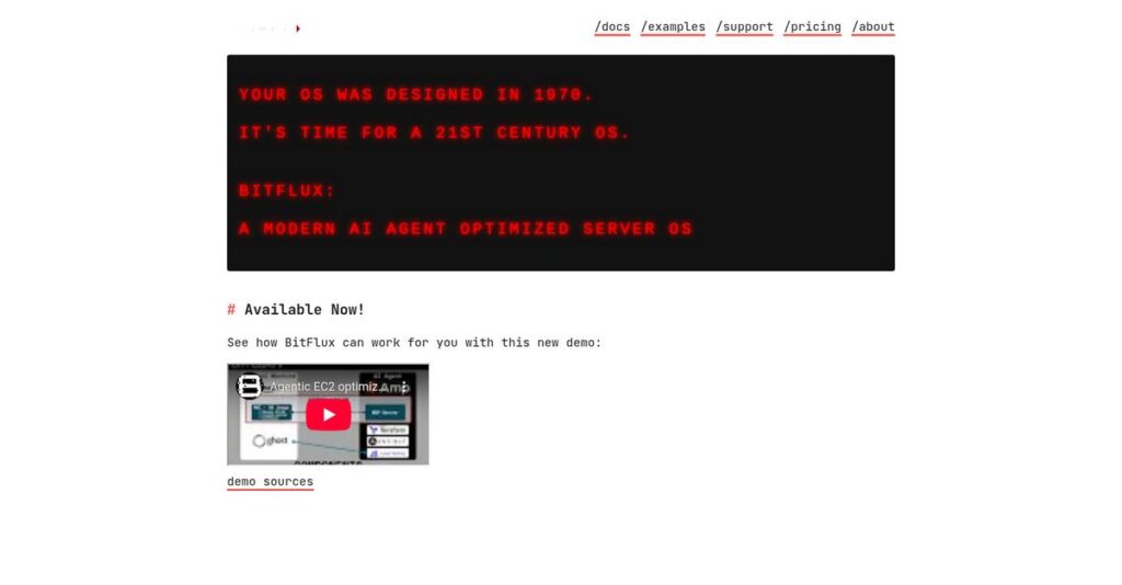 BitFlux Homepage