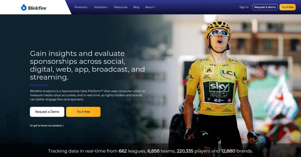 Blinkfire Analytics Homepage