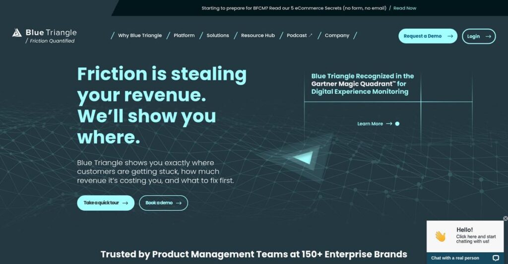 Blue Triangle Homepage