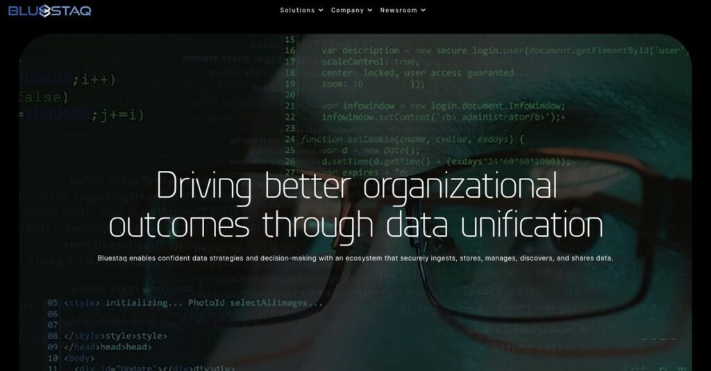 Bluestaq Homepage