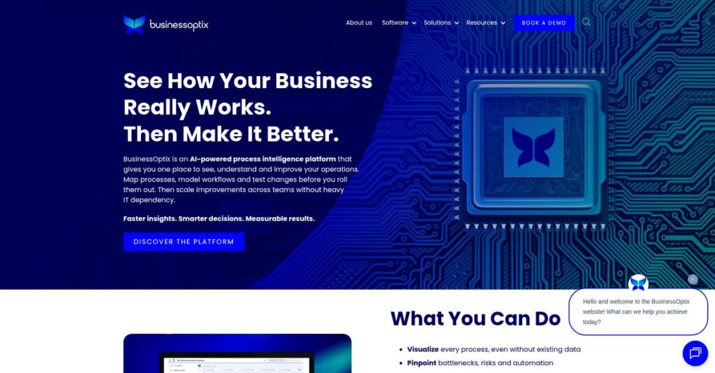 BusinessOptix Homepage