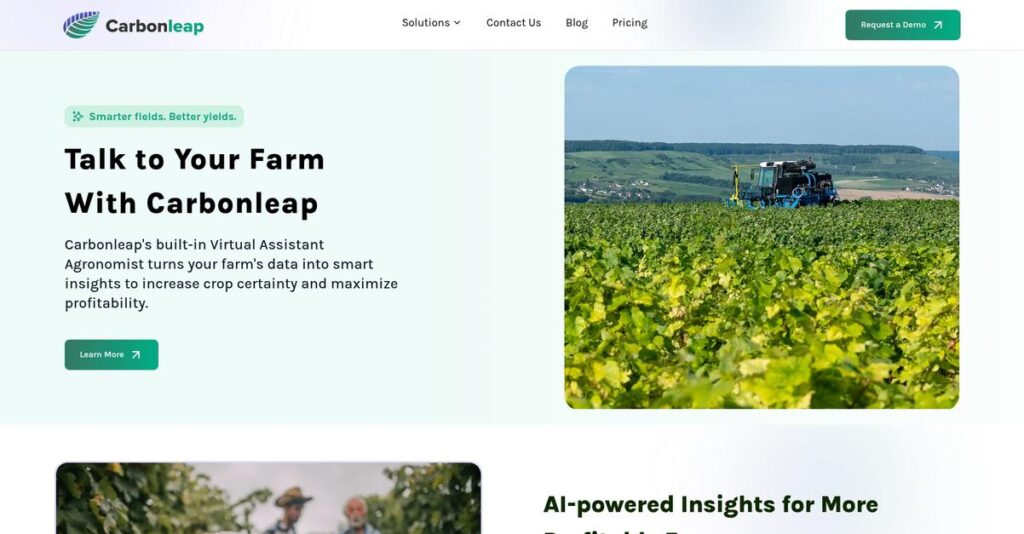 Carbonleap Homepage