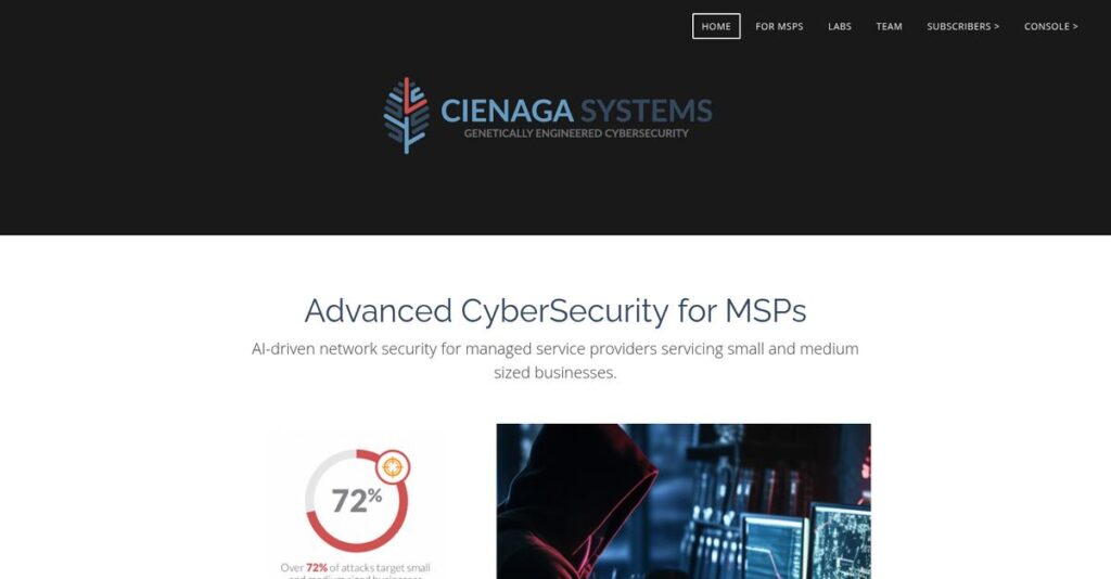 Cienaga Systems Homepage