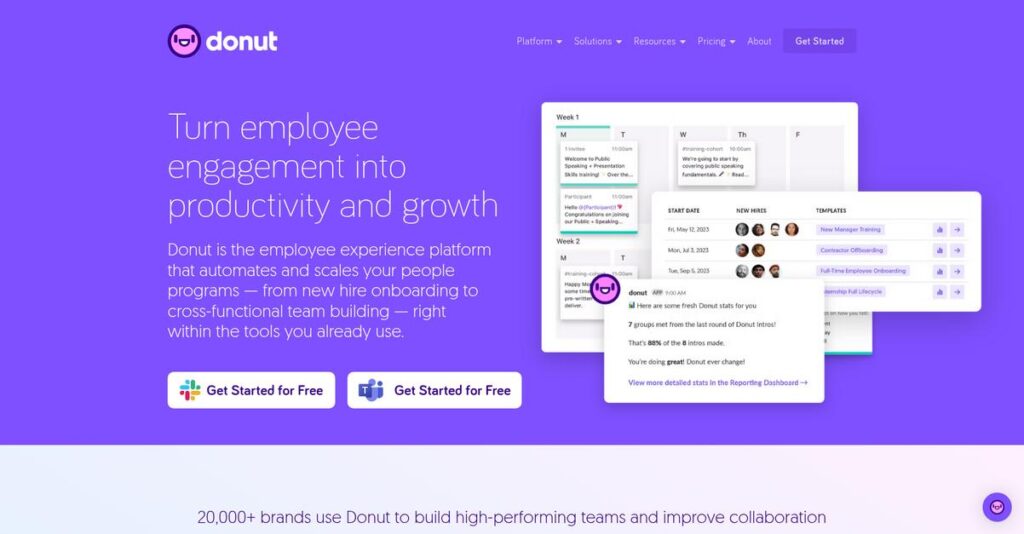 Donut Homepage